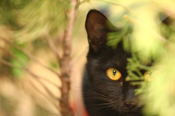 IMG_3785.JPG
