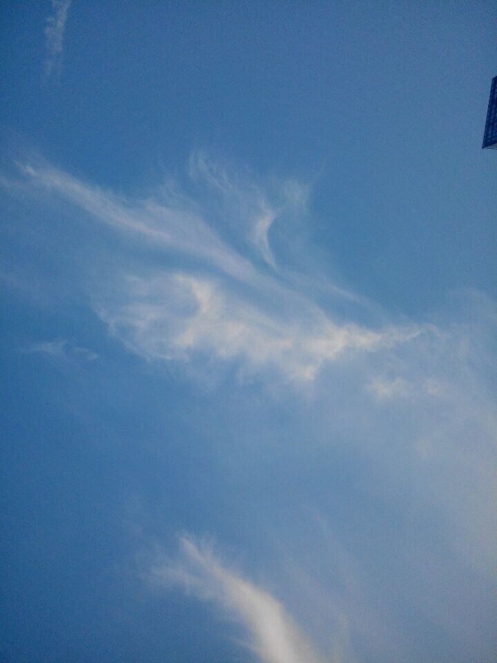 或恣意。
