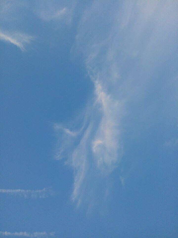 或轻快。