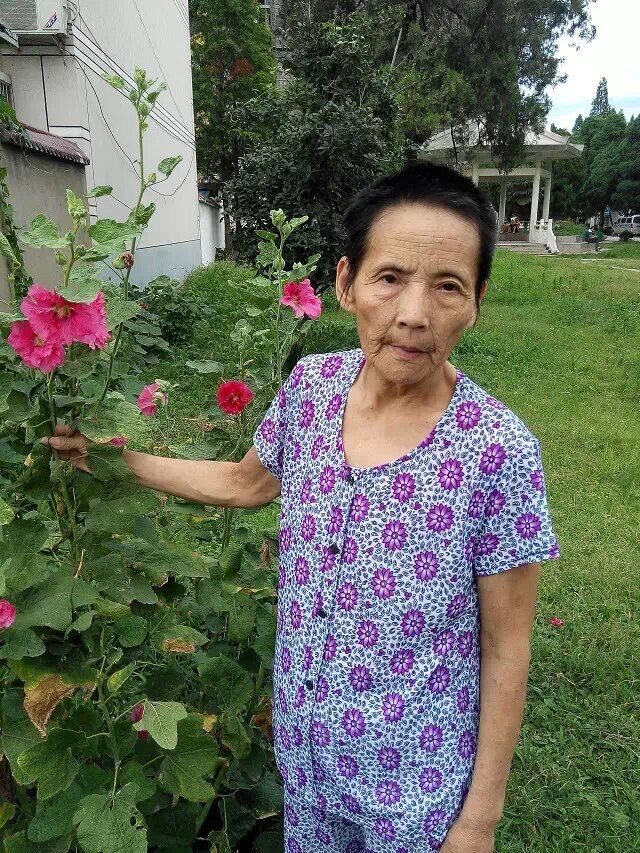 美美的妈妈也喜欢花