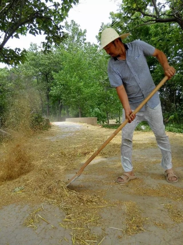 年迈60的您从来不服输