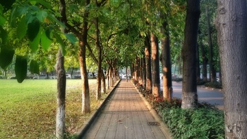 20141015_165815_Richtone(HDR)_1