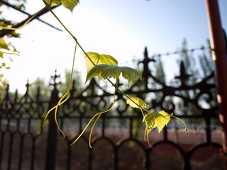 P1050823.jpg