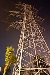 P1060035.jpg