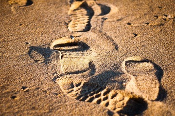 _1070031-1.jpg