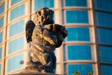 _1070050-1.jpg