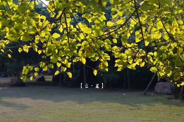 DSC04865副本.jpg