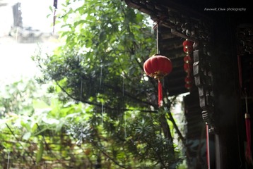 _DSC5847.jpg