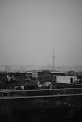 _DSC7013.JPG
