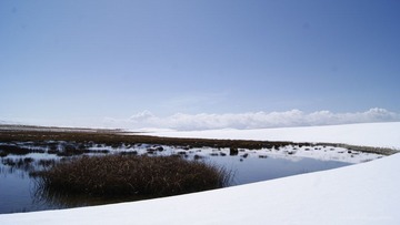 _DSC8800.JPG