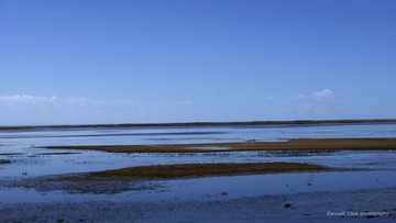 _DSC8865.JPG