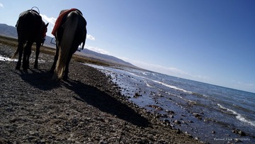 _DSC8985.JPG