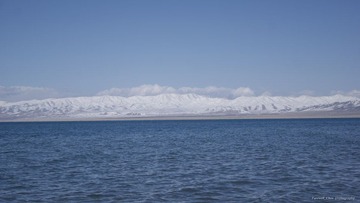 _DSC8991.JPG