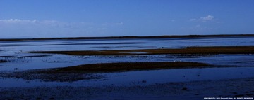 _DSC8865.jpg