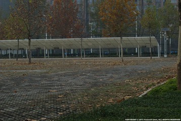 _DSC8845.JPG