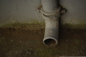 _DSC9262.JPG