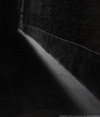 DSC09910.jpg