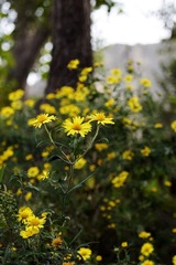 2011-9-25十字岭sony-a55 102.jpg