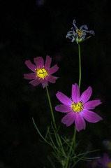 2011-9-25十字岭sony-a55 034.jpg