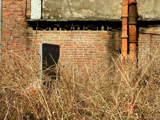 DSCF2398.JPG