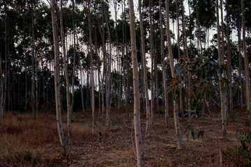 DSCF2576.JPG