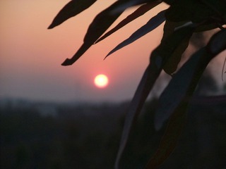 DSCF2574.JPG