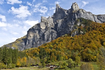 DSC_0492.JPG