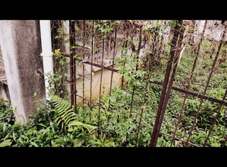 DSCF0582.JPG