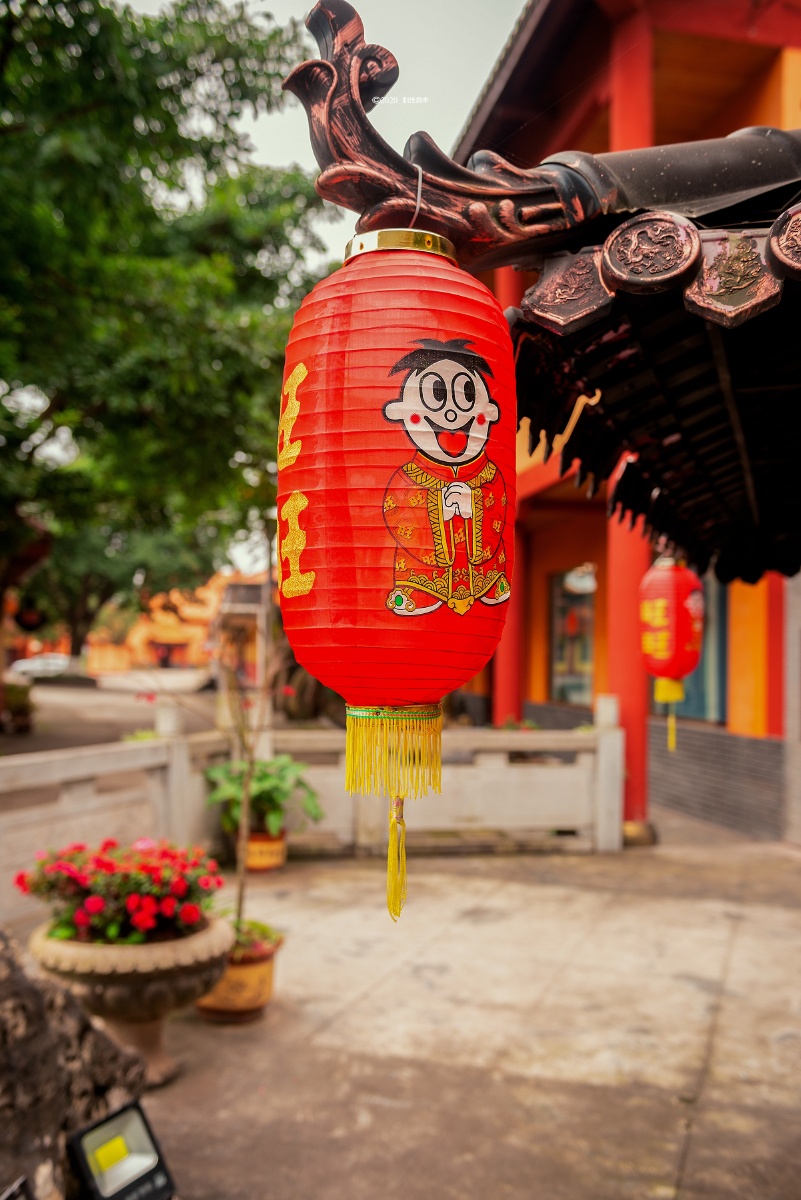 牛气冲天旺旺旺