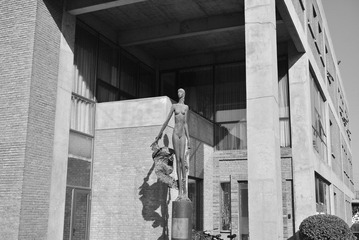 DSC_1656.JPG