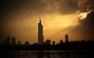 _DSC80911.jpg