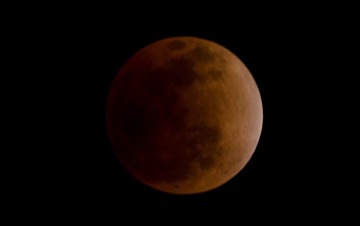 DSC_0791.jpg