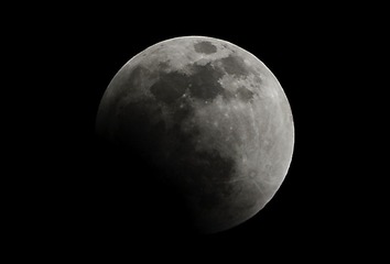 DSC_0683.jpg
