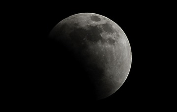 DSC_0693.jpg