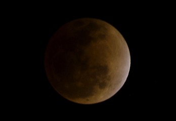 DSC_0799.jpg