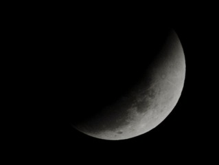 DSC_0841.jpg