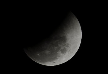 DSC_0850.jpg