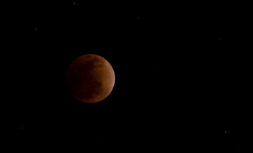 DSC_0788.jpg