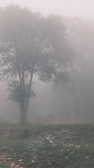 9877959B-790E-4E6B-B2D5-8BF101F83DD9/L0/001