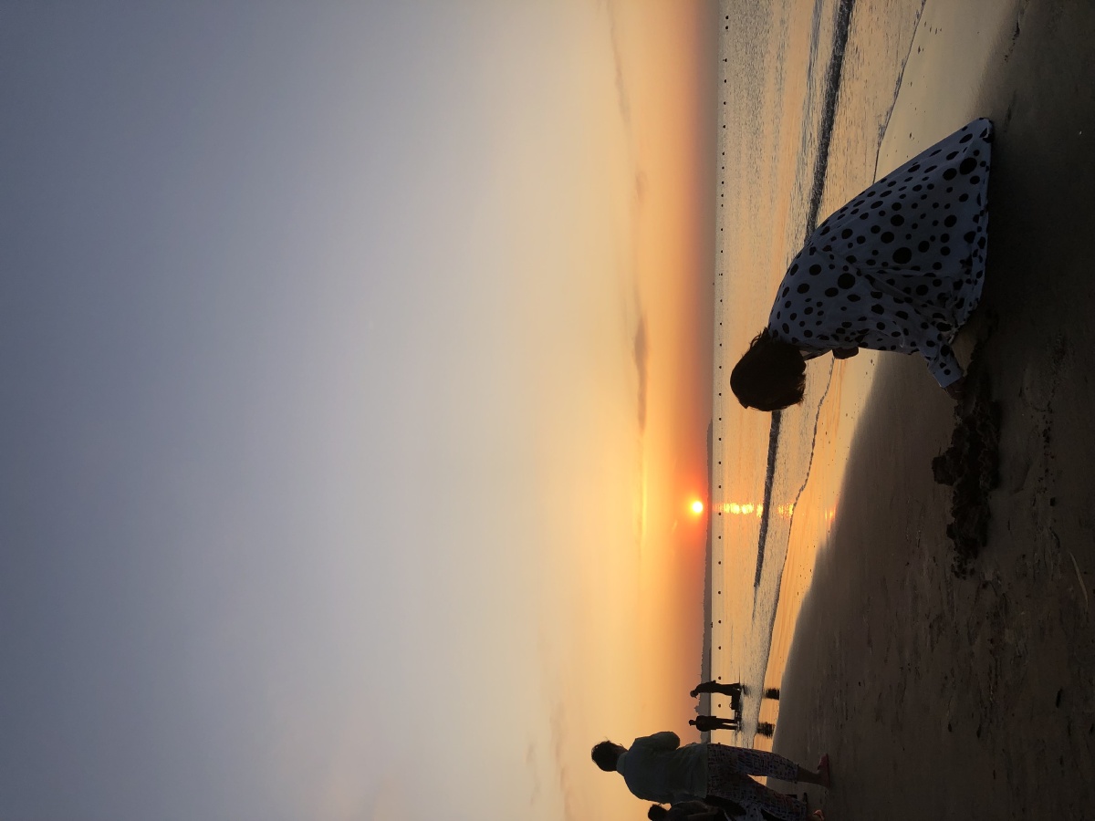 清醒的人最荒唐493