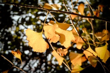 P1050487-2.JPG