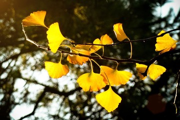 P1050489-2.jpg