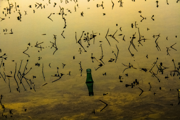 酸葡萄的最新作品