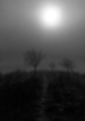 20210216-IMG_4364