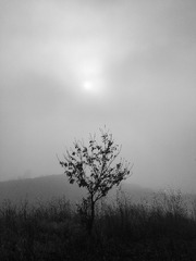 20210216-IMG_4370