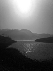 20210216-IMG_E4428