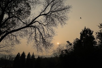 20250309-DSC01099