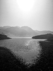 20210216-IMG_E4429