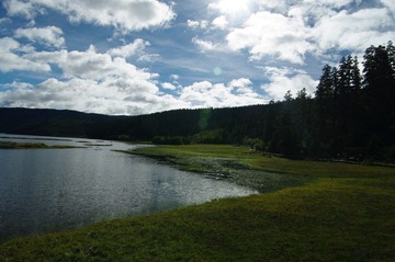 IMGP6901.JPG