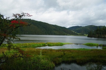 IMGP6924.JPG